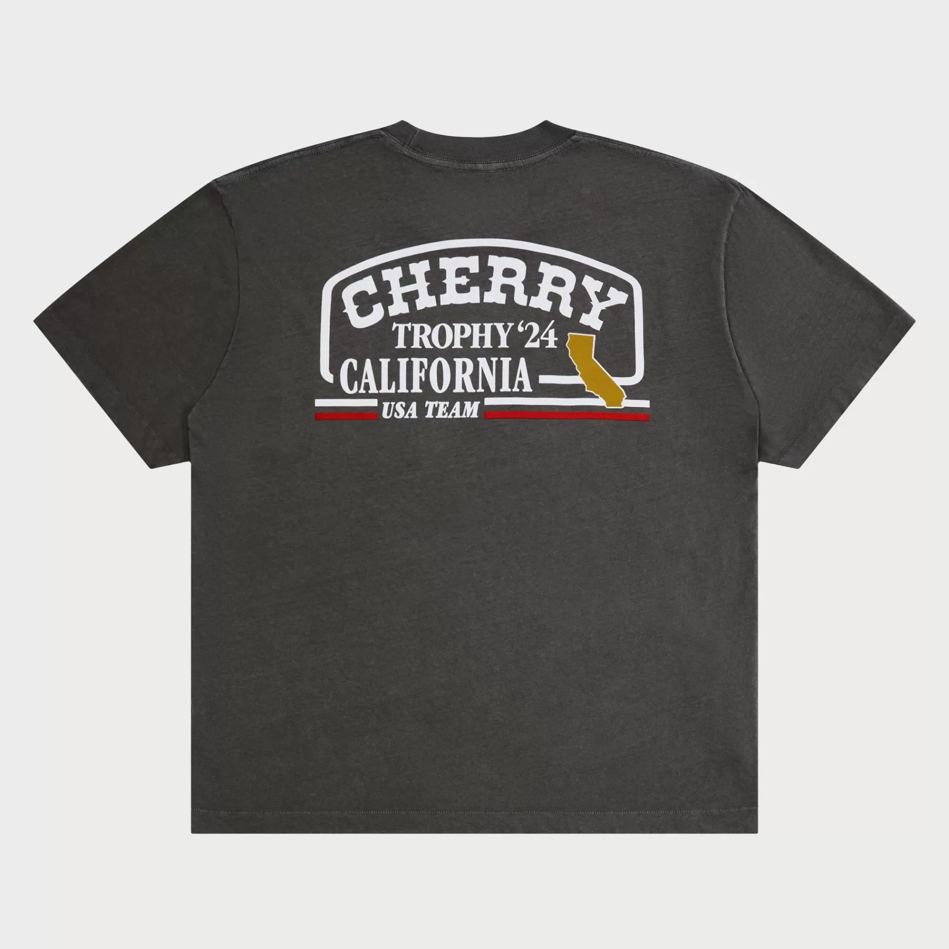 Camiseta Trophy Premium De Algodon Organico (Ceniza)^Cherry Clearance